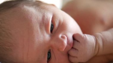 sevimli küçük yeni doğan bebek kameraya, 4 k Uhd 2160 p bakıyor