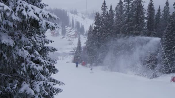 Sneeuw pistool tussen bomen maken van sneeuw voor skiresort op bewolkte dag met sneeuwval. Zweden — Stockvideo