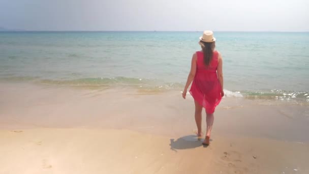 Young and happy pregnant woman walkin into the sea water at a sunny and windy day. Dolly in shot — Stock Video