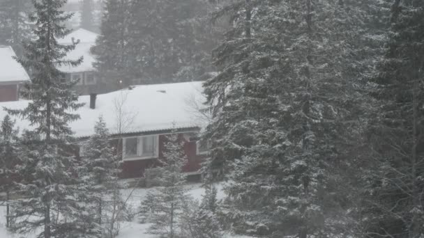 Snö faller på en två våningar hus i vinter skog, Sverige — Stockvideo