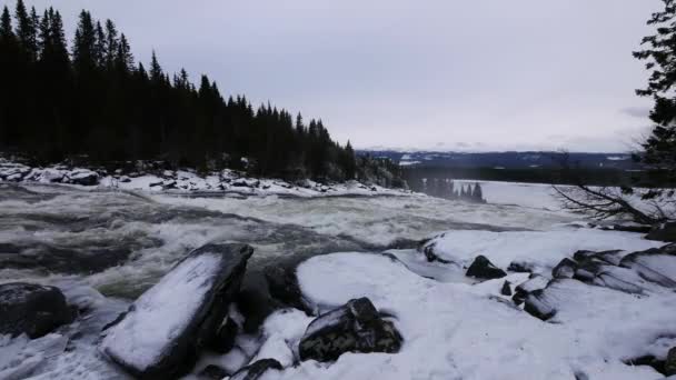 Swedia Air terjun Tannforsen, musim dingin — Stok Video