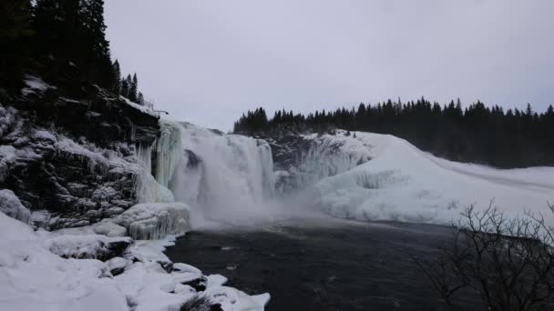 Sverige Tannforsen vattenfall, vinter — Stockvideo