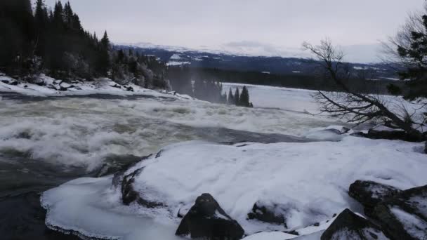 Zweden Tannforsen waterval, winter — Stockvideo