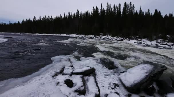 Sverige Tannforsen vattenfall, vinter — Stockvideo