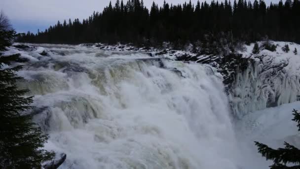 Schwedischer Tannforsen Wasserfall, Winter — Stockvideo