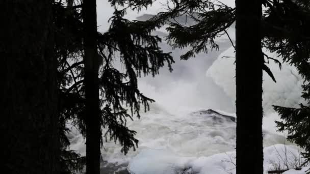 Suecia Cascada de Tannforsen, invierno — Vídeo de stock