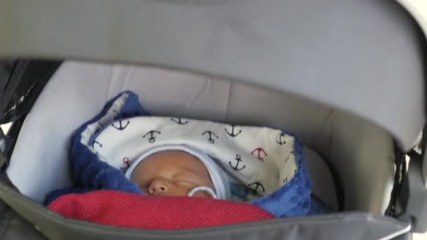 Pasgeborene slaapt in kinderwagen terwijl het wordt heen en weer duwen. Baby in slaap wiegen — Stockvideo