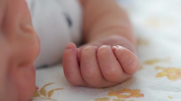 Primo piano del piccolo pugno tagliato del bambino addormentato. Piccola profondità di campo — Video Stock