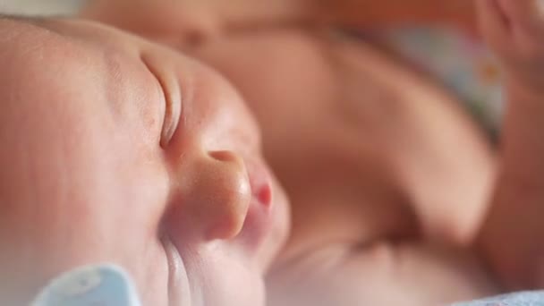 Primer plano de un recién nacido caucásico moviendo las manos y despertando. Pequeña profundidad de campo — Vídeo de stock