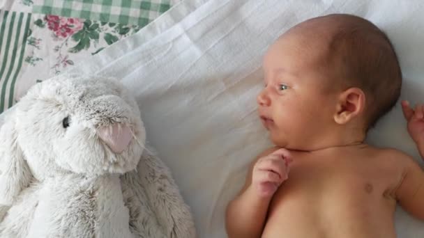 Newborn child and cute stuffed bunny on a bed — Stock Video