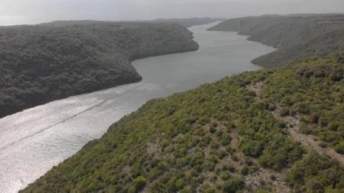 Lim Körfezi 'nin parlayan suları. Hırvatistan 'ın Istra kentindeki yeşil kıyı ormanı