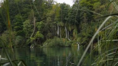 Şelale deresindeki çimlere bakın. Hırvatistan 'ın Yeşil Ormanı Plitvice Gölü