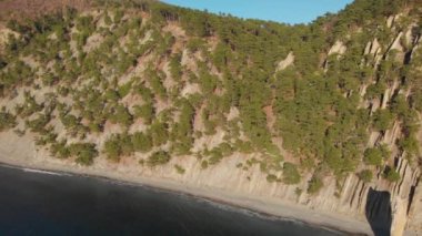 Kayanın üzerindeki çam ağaçları. Büyük düz bir taş dalgalarla yıkanmış bir deniz kıyısında ayrı duruyor.