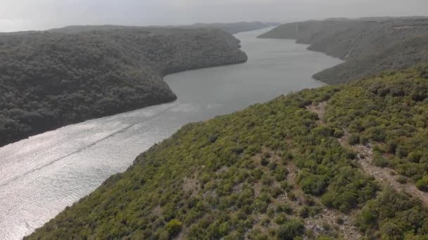 Antenn av lysande vatten i Lim Bay. Grön kustskog i Istra, Kroatien — Stockvideo
