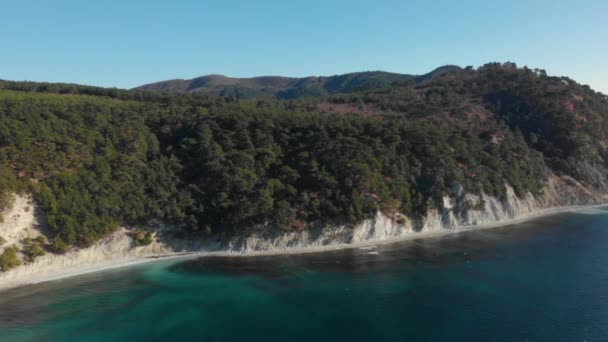 Pinos sobre una roca blanca. Orilla rocosa del azul claro del Mar Negro. Disparo aéreo — Vídeos de Stock