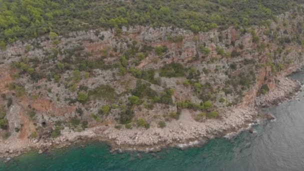 海岸沿いの険しい岩。崖の上に緑の森があります — ストック動画