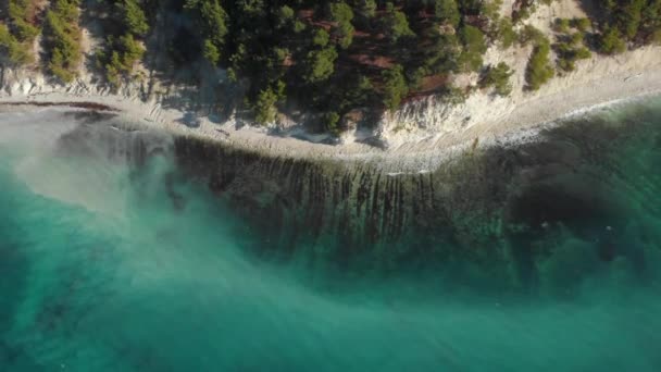 Kiefern und weiße Felsen an einem Ufer. Meeresboden durch transparentes blaues Wasser. Luftfahrt — Stockvideo