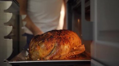 İnsan sıcak fırında iştah açıcı kazın üzerine yağ döker. Doldurulmuş kümes hayvanları pişiriyorum.