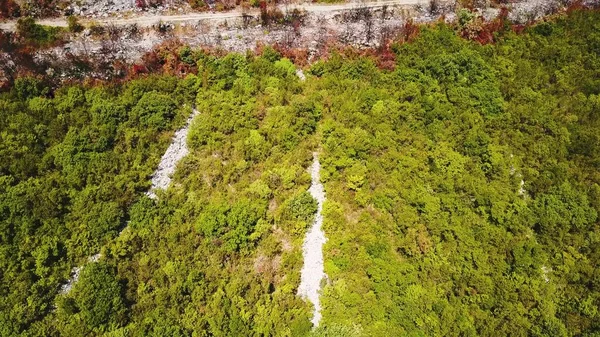 Letím Přes Lesnatý Hřeben Mrtvé Stromy Uprostřed Zeleného Lesa Letecký — Stock fotografie