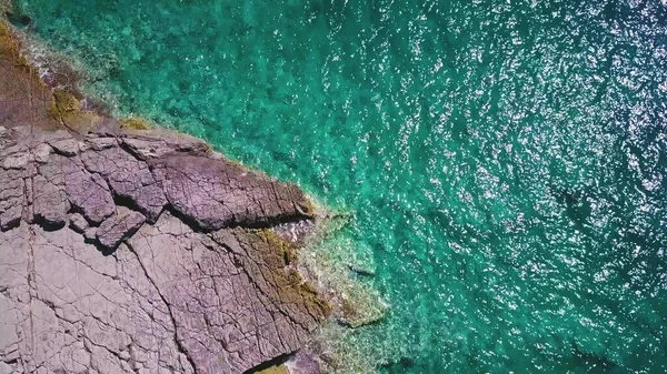 Adriyatik denizi, Karadağ 'ın berrak turkuaz sularından oluşan bir sahilde çatlak kayaların üzerinde uçuyor
