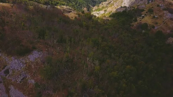 Yukarıdan odunsu dağın tepesinde ve Karadağ 'da sisli, güneşli bir günde Kotor Körfezi' ne bakıyor