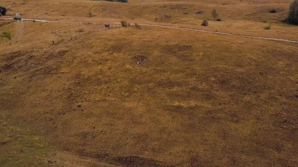 Sarı çimenler ve dağlık arazide nadir evler. Bulutlar dağların tepelerini kaplıyor