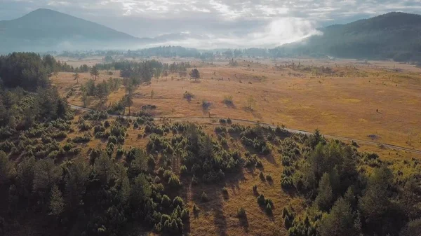 Ağaçları, çalıları ve uzaktan sisli dağları olan güneşli bir tepe. Hava görünümü
