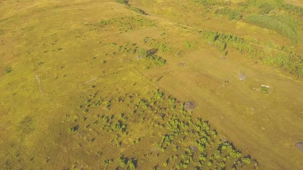 Güneşli sarı tepe ve uzaktaki kayalık bir dağın eteğindeki küçük köy. Hava görünümü