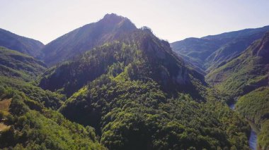 Yeşil odunsu dağ ve kanyonda akan bir nehir. Karadağ 'ın havadan görünüşü