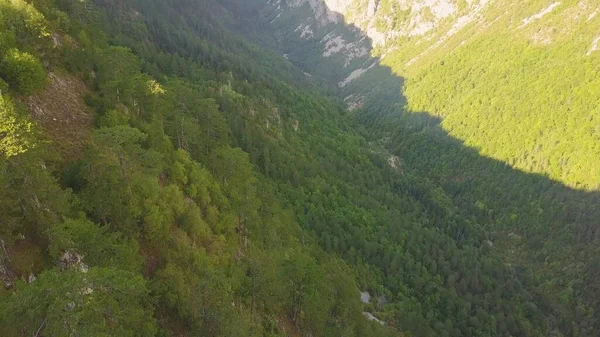 Karadağ 'ın Dinaric Alpleri' ndeki kanyonda gölgeli bir orman. Havadan dağ görünümü