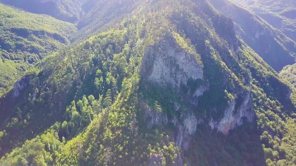 Yeşil orman ve yamaçlarında kayalık kayalıklarla dağların etrafında uçuyor. Durmitor, Karadağ