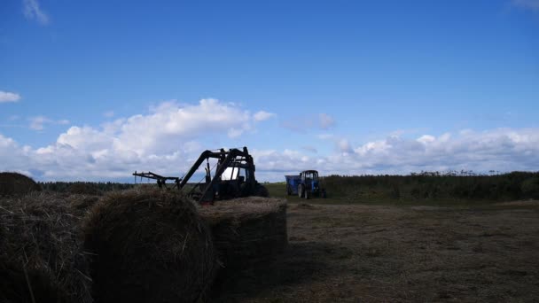 Tractor cargando fardos de heno durante las obras agrícolas — Vídeos de Stock