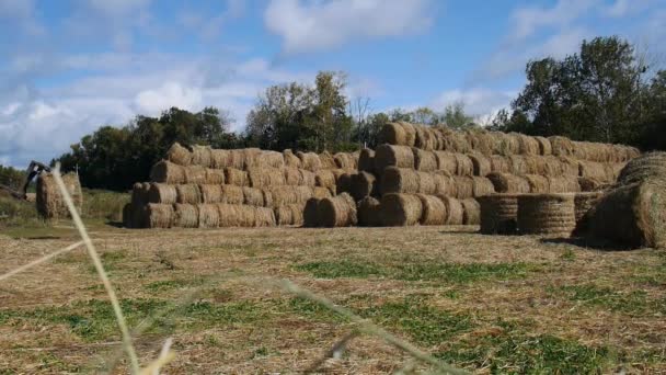 Balení čerstvých pšenice balíku po sklizni — Stock video