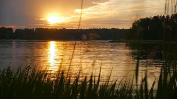 Een prachtige zonsondergang in lake — Stockvideo