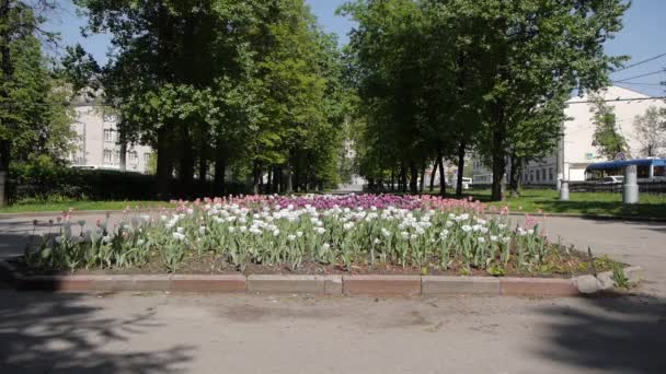 MOSCÚ, RUSIA LS Gente caminando en plaza con flores. Este parque es el lugar favorito para caminar para turistas y lugareños — Vídeos de Stock