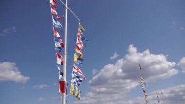 Birkaç Bayraklarda Peterhof, Saint-Petersburg, Rusya Federasyonu