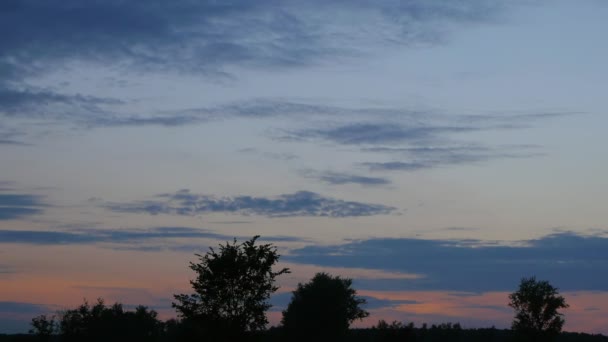 飞机降落在落日的天空 — 图库视频影像