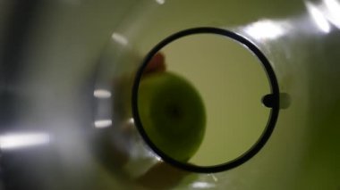 Taze yeşil elma suyu için meyve sıkacağı içinde koymak. ağır çekim