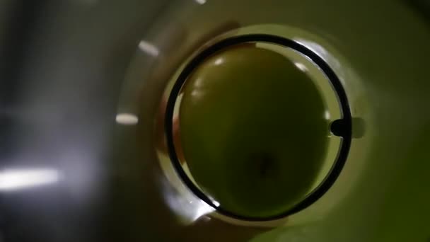 Mettre la pomme verte fraîche dans le presse-agrumes pour le jus. au ralenti 