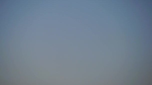 하늘에 비둘기의 무리입니다. 푸른 하늘에 대 한 왼쪽 비행 새의 무리 — 비디오