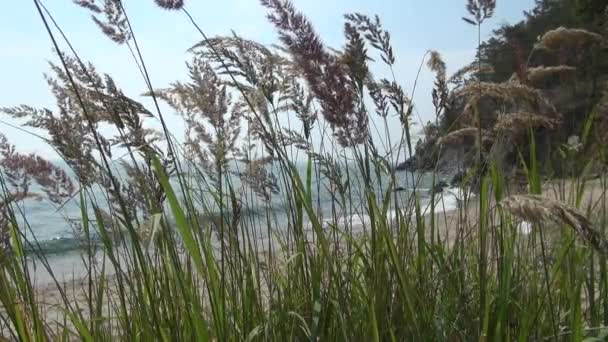 Belleza lago Baykal en Rusia durante el verano — Vídeos de Stock