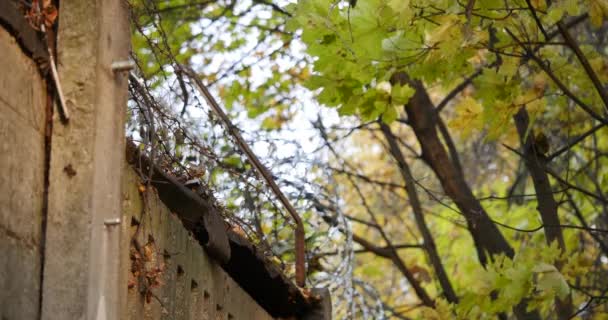 Campo rural escena con una puerta de madera y cerca de alambre material de archivo. Una escena rural de otoño con la cerca de alambre como punto focal principal . — Vídeos de Stock