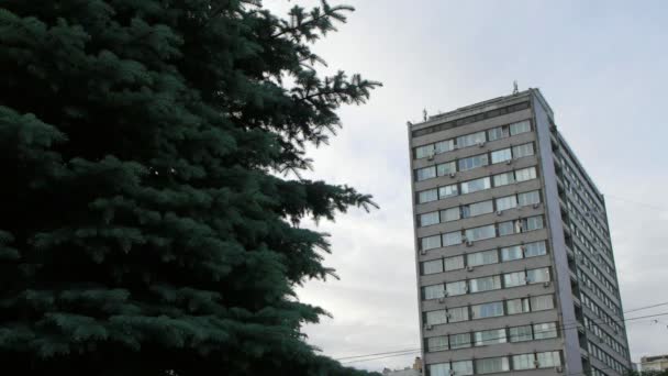 Edifício stand na floresta — Vídeo de Stock