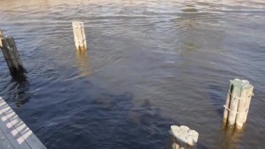 2015 yılında Rusya'nın St.Petersburg kentinde Neva nehir manzaralı yaz panoraması