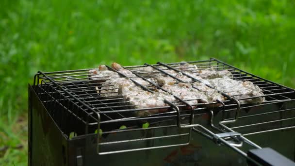 Grilling a delicious shashlik with smoke marinated meat — Stock Video