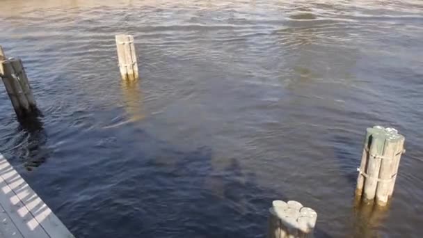 Schilderachtige zomer panorama van de rivier de Neva in St.Petersburg, Rusland in 2015 — Stockvideo