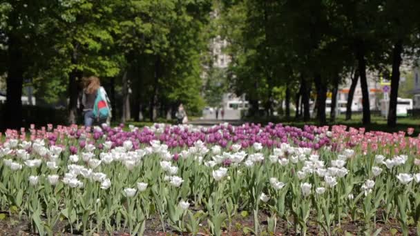 Москва Ms людей, що йдуть на площі з квітами. Цей парк є улюбленим місцем для туристів і місцевих жителів ходити — стокове відео