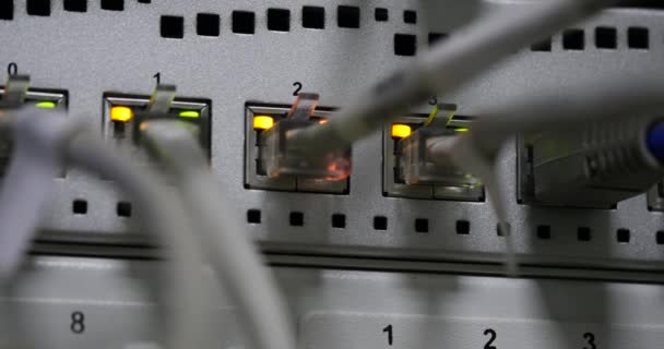 Detalles de cables UTP, luces led parpadeantes y RJ 45 en conmutadores Ethernet de trabajo . — Vídeo de stock