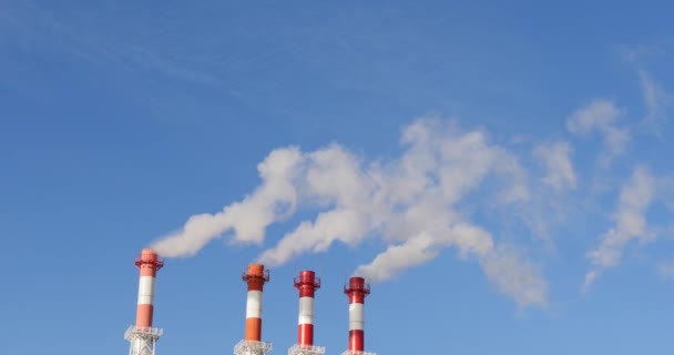 Fabriek in de stad. Gaat witte rook uit de pijpen van de plant. De plant is gelegen in de stad. Een heleboel rook — Stockvideo