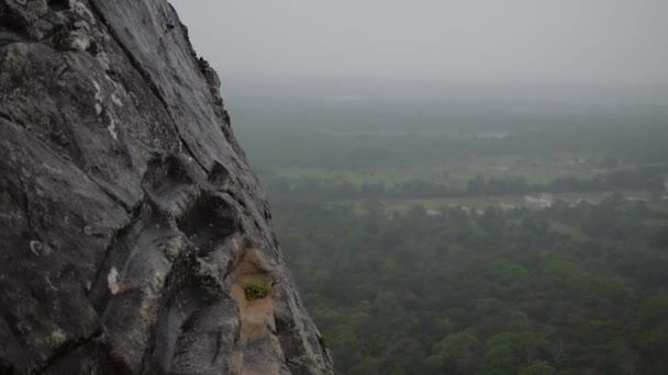 Rastro de rocas en Sigiriya. Sri lanka, Asia. Lugar con una gran piedra y antigua fortaleza de roca y ruina del palacio . — Vídeos de Stock